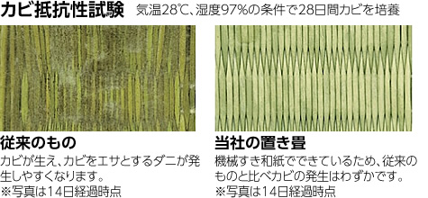 ダニ・カビの心配がない。アレルギーのお子様も安心。